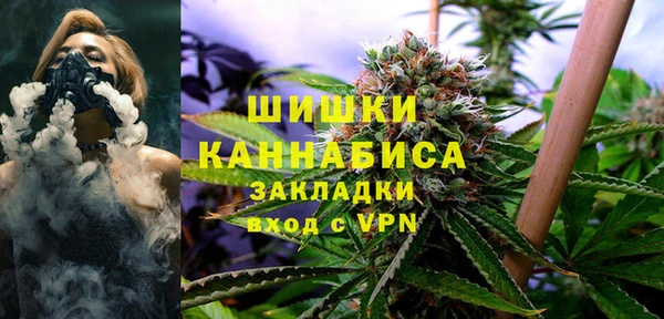 PSILOCYBIN Навашино