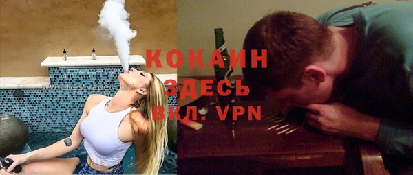 гидра Михайловка