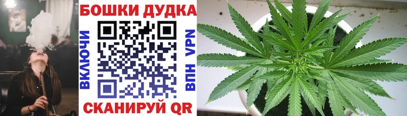 Купить где Мегион Бошки марихуана White Widow